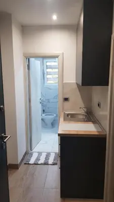a small kitchen with a sink and a toilet at Apartman Vojvoda 1 in Sajmište