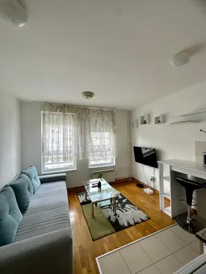 a living room with a couch and a table at Bellvil 55 in Belgrade