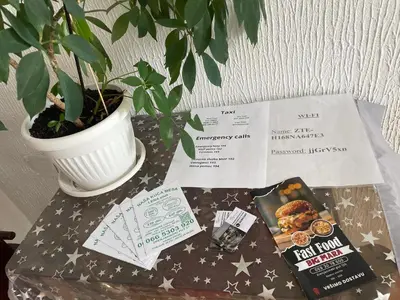 a potted plant sitting on a table with a book at Apartman 1 in Krnjača