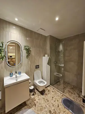 a bathroom with a toilet and a sink and a shower at BwMils Apartment in Belgrade