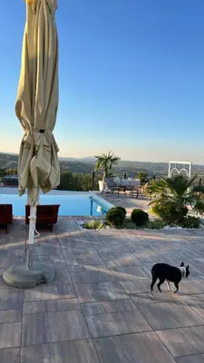 a black dog walking next to a large umbrella at Hill Luxury House in Šepšin