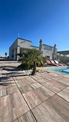 a palm tree in front of a building with a pool at Hill Luxury House in Šepšin