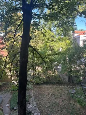 a tree standing next to a brick walk way at Kopernikova Studio in Belgrade