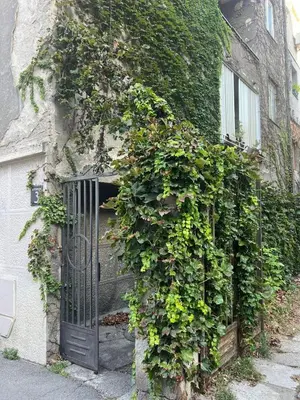 a building with a gate covered in ivy at Kopernikova Studio in Belgrade