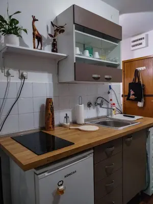 a kitchen with a sink and a counter top at Studio-Harmony in Kanarevo Brdo