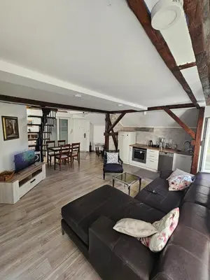 a living room with a black couch and a kitchen at Potkrovlje Riki u centru Beograda in Belgrade
