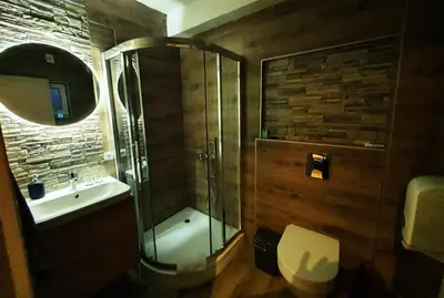 a bathroom with a shower and a toilet and a sink at Stone Spa Apartman 2 in Sremčica