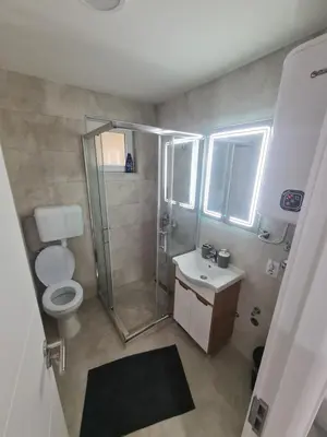a bathroom with a shower and a toilet and a sink at Marash apartman 2 in Belgrade