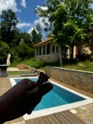 a person holding a butterfly sitting on a finger next to a pool at Šumska Vila Lipovica in Barajevo