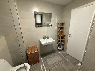 a bathroom with a sink and a mirror and a toilet at Apartman Lukač in Belgrade