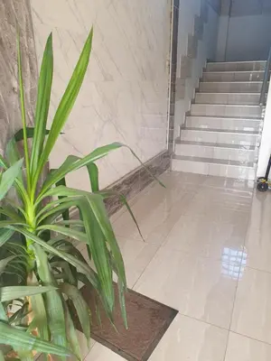 a plant sitting in front of a set of stairs at Small cute single room A2 in Pancevo in Pančevo
