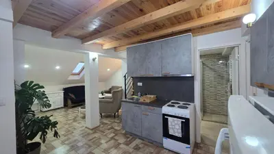 a kitchen with a stove top oven next to a living room at Duplex stan u Beogradu in Belgrade