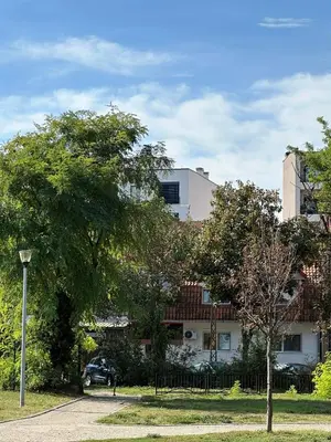 a building with a tree in front of it at Apartman Dorćol VS60 in Belgrade