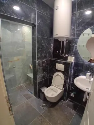 a bathroom with a toilet and a sink and a shower at Apartman Dimitrijala 52 in Zvezdara
