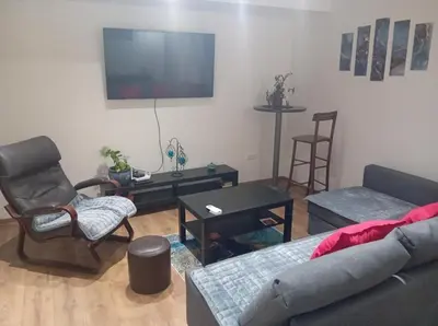 a living room with a couch and chairs and a tv at Apartman Dimitrijala 52 in Zvezdara