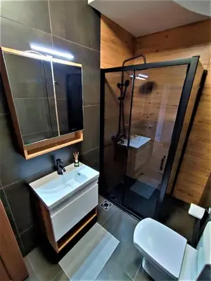 a bathroom with a sink and a shower and a toilet at Apartman Vista Centar in Smederevo