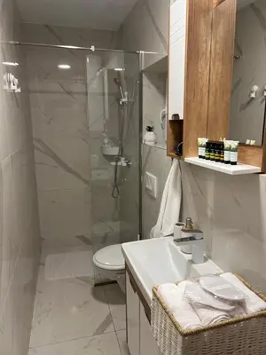 a bathroom with a shower and a toilet and a sink at Anna apartment in Belgrade
