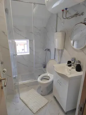 a bathroom with a shower and a toilet and a sink at Apartman Anđela in Jakovo
