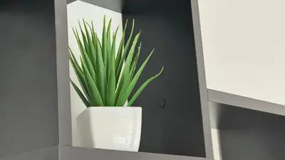 a plant in a white pot on a shelf at Arena BGD - Hadrianz Apartment in Novi Beograd