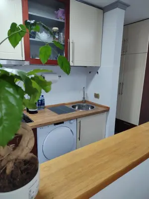 a small kitchen with a sink and a counter at Apartman Ingrid in Belgrade