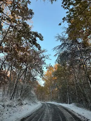 a snow covered road with trees on either side at Apartman Kosmajska Vila in Rogača