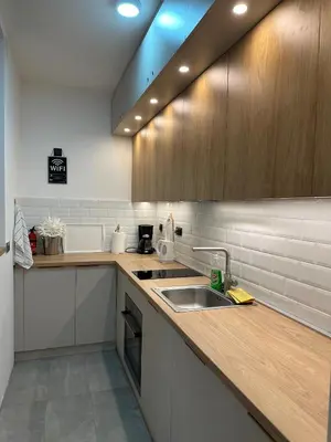 a kitchen with a sink and a counter top at Apartman Kosmajska Vila in Rogača