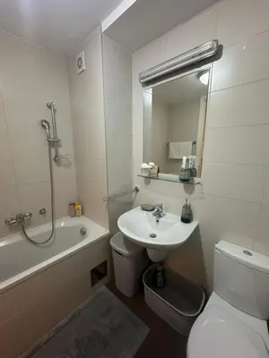 a bathroom with a sink and a toilet and a bath tub at Akacija - Belvil in Belgrade