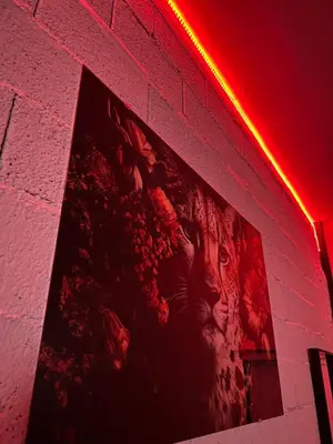a large painting on a brick wall with a red light at Lokal za zurke, slavlja i rodjendane in Pećinci