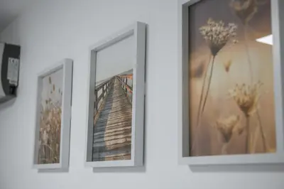three framed photographs on a wall with flowers at NAŠ Apartman in Voždovac