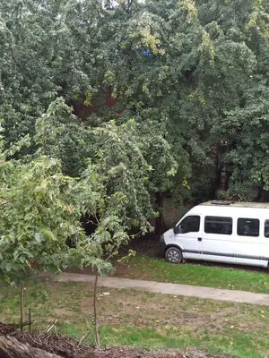 a white van parked in a yard under a tree at Beograd, Oaza Palilula, 2 in Borča