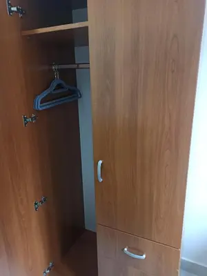 a wooden cabinet with a door in a room at Beograd, Oaza Palilula, 2 in Borča