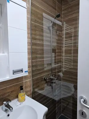 a bathroom with a sink and a shower at Apartman Gaga in Batajnica