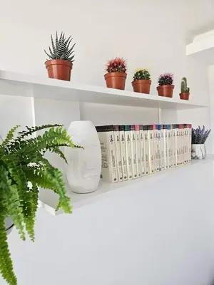 a white shelf with plants and books on it at Apartman Gaga in Batajnica