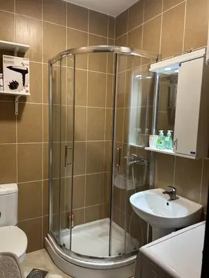a bathroom with a shower and a sink at Dream apartmen in Novi Grad
