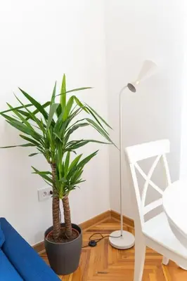a potted plant in a room with a lamp and a chair at Completely new, Bonbona Apartment Belgrade in Belgrade