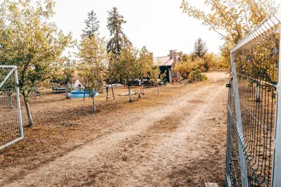 a dirt road with a fence in a yard at Ranč Elena in Ruma