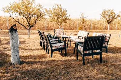a row of wooden tables and chairs in a field at Ranč Elena in Ruma