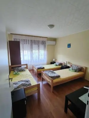 a large room with three beds and a window at STD Havela in Kovačica