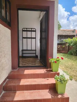 a porch of a house with two potted plants at STD Havela in Kovačica