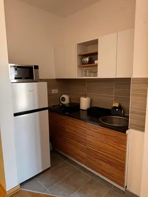 a kitchen with a white refrigerator and a sink at Apartman 69 in Krnjača