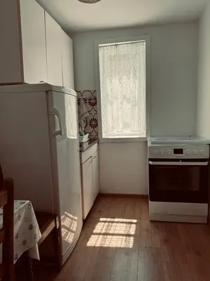 a kitchen with a refrigerator and a window at Stan na dan in Belgrade