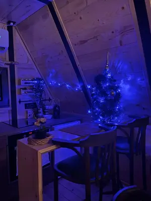 a christmas tree sitting on a table in a room at Apartman Durtanoski 1 in Mali Mokri Lug