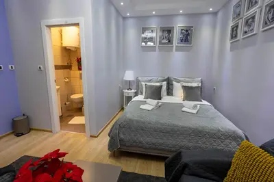 a bedroom with a large bed and a bathroom at Bed & Breakfast Garden40 in Belgrade