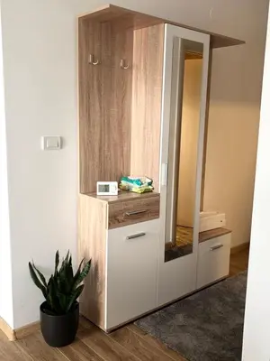 a cabinet with a mirror and a plant in a room at Green Lux Apartment in Inđija