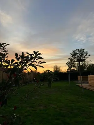 a sunset in a yard with a tree in the foreground at SunMoon Kosmaj kućice i prostor za događaje in Sopot
