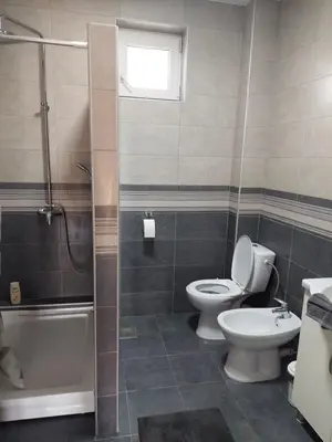 a bathroom with a toilet and a shower and a sink at Centro apartman 2 in Pančevo