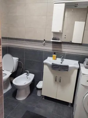 a bathroom with a toilet and a sink and a mirror at Centro apartman 2 in Pančevo