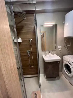 a bathroom with a shower and a sink and a washing machine at Studio 54 in Belgrade
