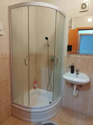 a bathroom with a shower and a sink at Studio29 2 in Ruma