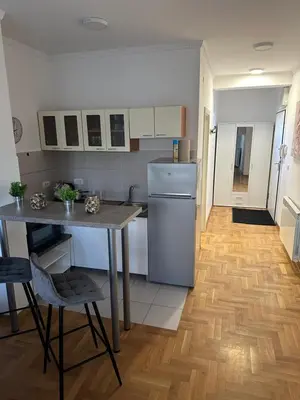 a kitchen with a table and a refrigerator at xenija in Belgrade